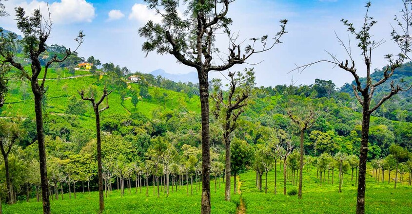 Yercaud Yercaud