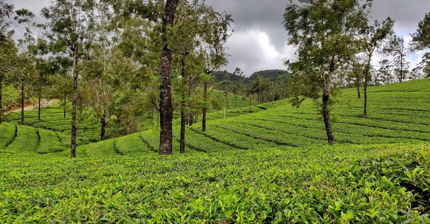 manjolai-hills3 manjolai-hills3