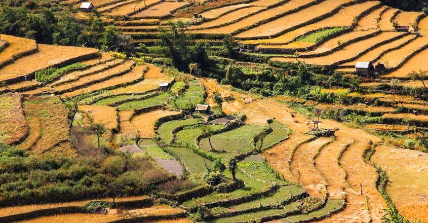 khonoma-nagaland khonoma-nagaland