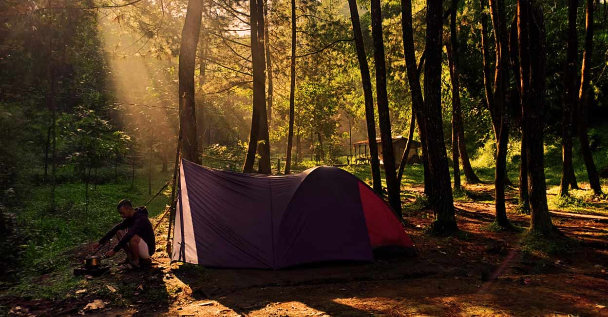 കാടിനുള്ളിൽ രാവുറങ്ങാം; ഇന്ത്യയിലെ മികച്ച ജംഗിൾ ക്യാമ്പിങ് | Indias ...