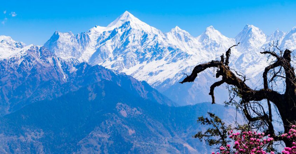 travel--munsiyari travel--munsiyari