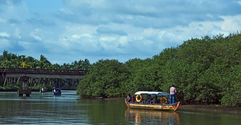 Kadalundi-travel7 Kadalundi-travel7