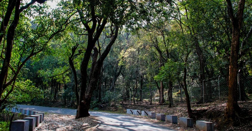 marayur marayur