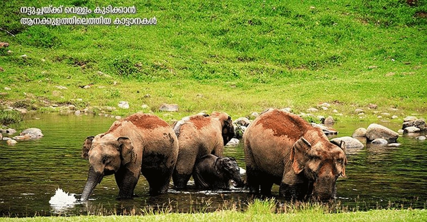 mankulam-travel4 mankulam-travel4