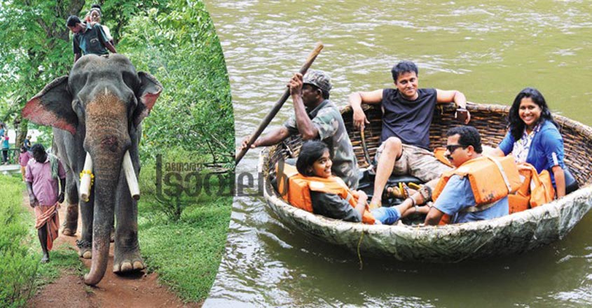adavi-tourism adavi-tourism