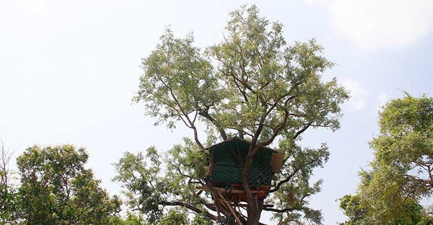 house-Karakkad-Tree-house house-Karakkad-Tree-house