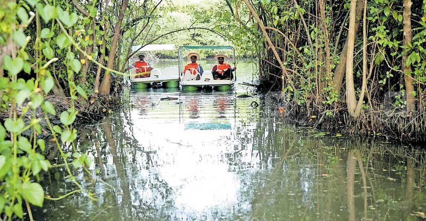 ernakulam-pedal-boating ernakulam-pedal-boating
