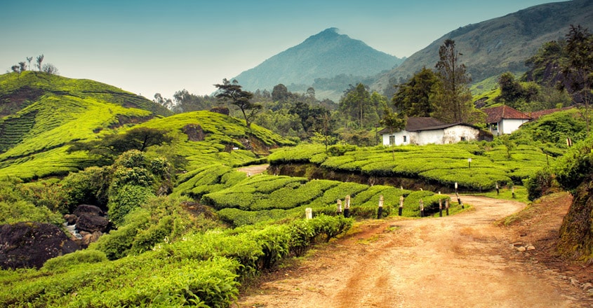 munnar munnar