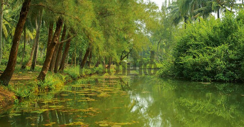 Kozhikode-Akalapuzha-Travel1 Kozhikode-Akalapuzha-Travel1