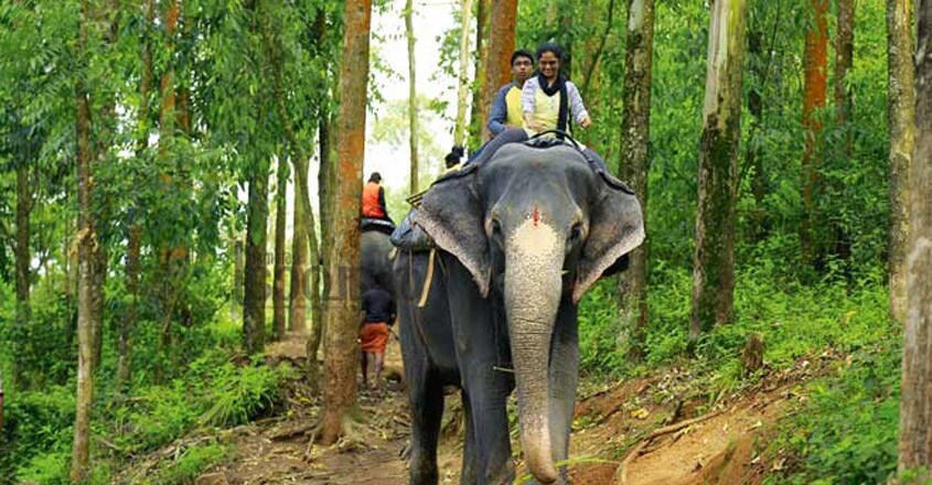 munnar-trip-pic2 munnar-trip-pic2