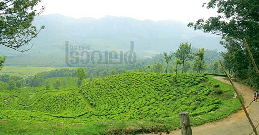 munnar-trip-pic3 munnar-trip-pic3