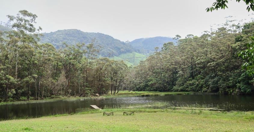 munnar-silentvalley5 munnar-silentvalley5