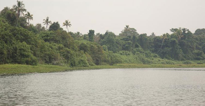 kumarakom-bird-sanctuary3 kumarakom-bird-sanctuary3