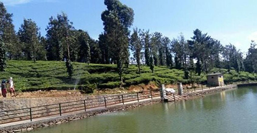 Tea-tour-Wayanad2 Tea-tour-Wayanad2