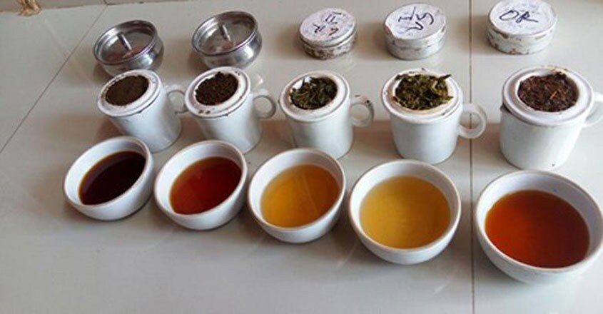 Tea-tour-Wayanad5 Tea-tour-Wayanad5