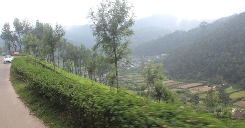 munnar-trip4 munnar-trip4