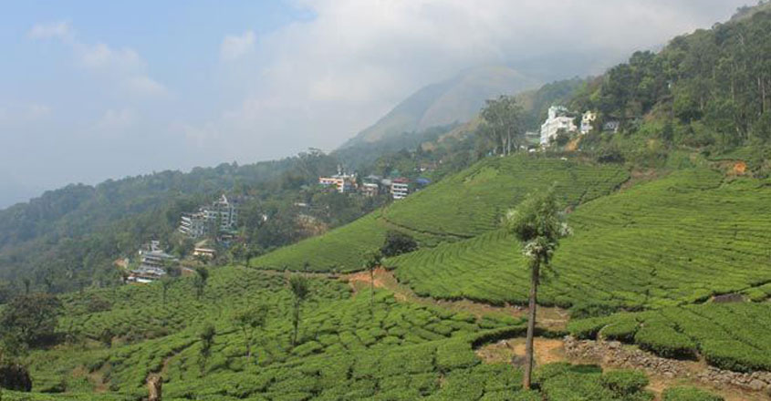 munnar-trip7 munnar-trip7