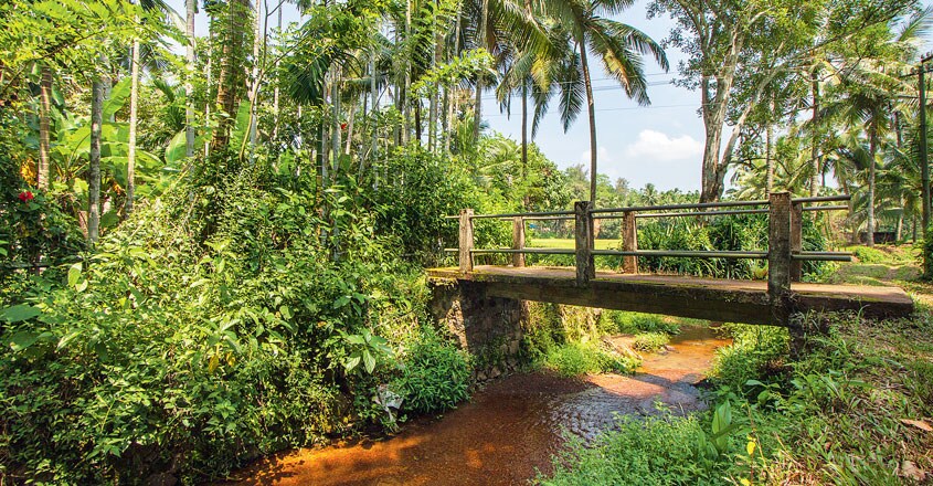 Thalakottoor-homestay Thalakottoor-homestay