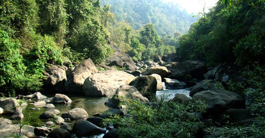 vellarimala-trekking1 vellarimala-trekking1