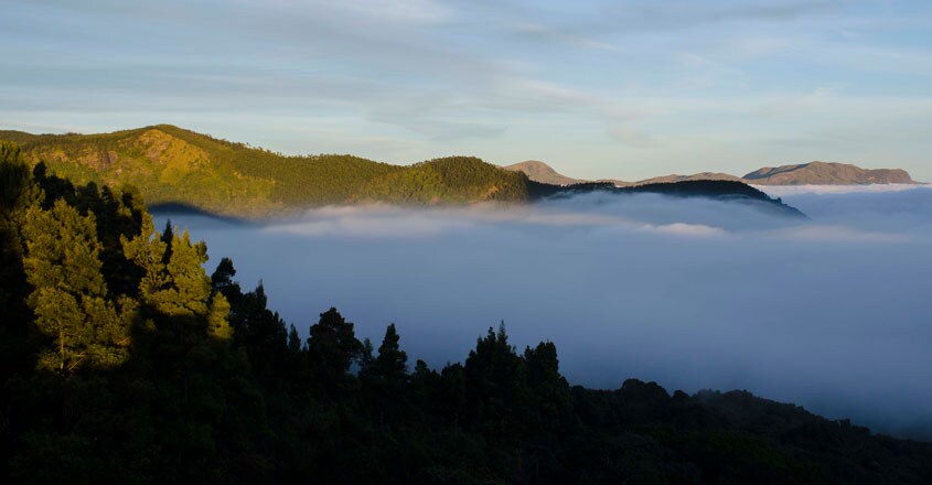 munnar-trip-anamudichola munnar-trip-anamudichola