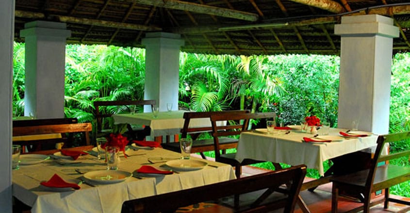 diningarea– diningarea–