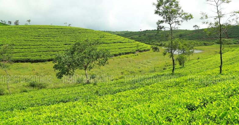 wagamon13 wagamon13