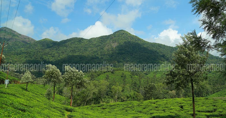 wagamon14 wagamon14