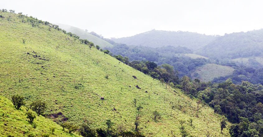 Munishwara-Mudi-Wayanad4 Munishwara-Mudi-Wayanad4