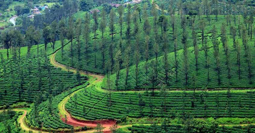 Munishwara–Mudi–Wayanad Munishwara–Mudi–Wayanad