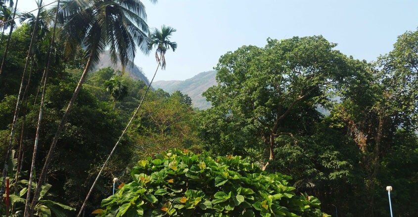meenvallom-trip12 meenvallom-trip12