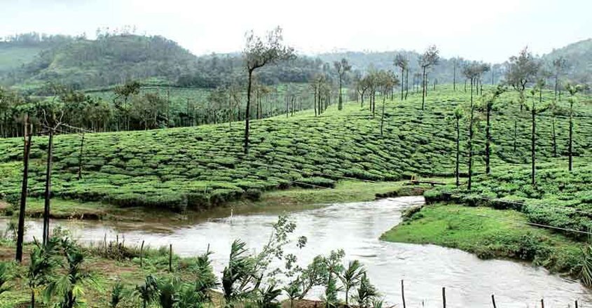 Pasupara-Idukki-Trip1 Pasupara-Idukki-Trip1