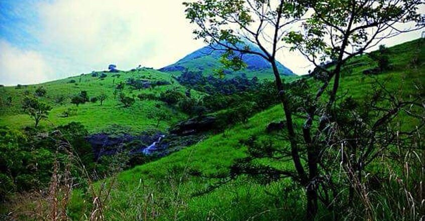 Rainforest-wayanad Rainforest-wayanad