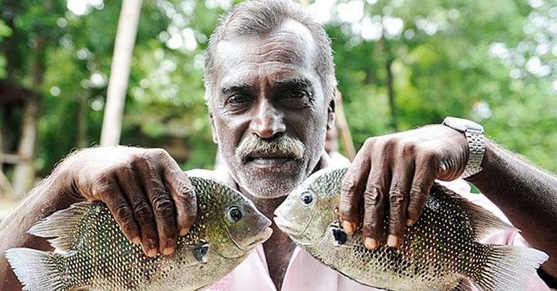 KOTTAYAM-KARIMEEN KOTTAYAM-KARIMEEN