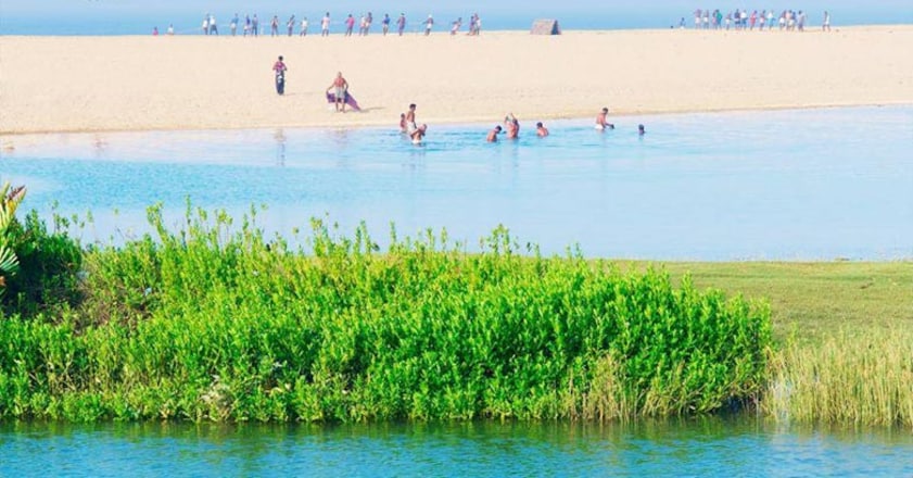 poovar3 poovar3