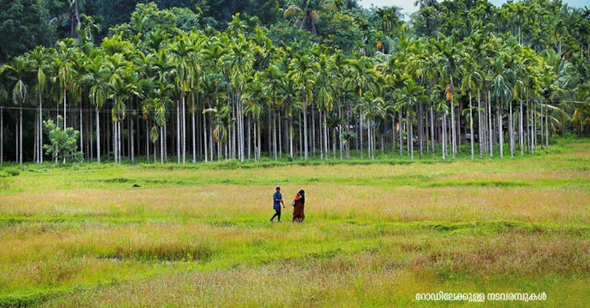 nilambur4 nilambur4