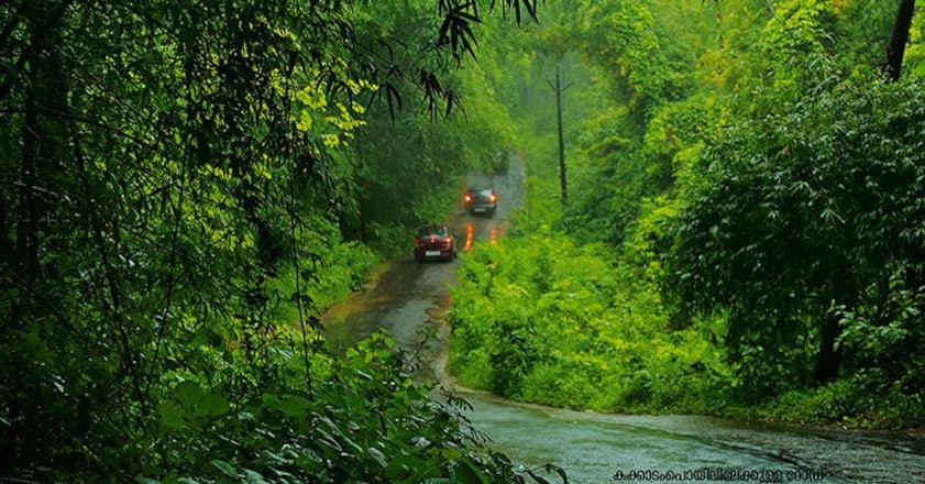 nilambur7 nilambur7