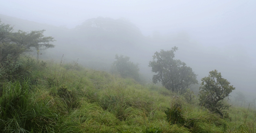 wayanad-travel1 wayanad-travel1