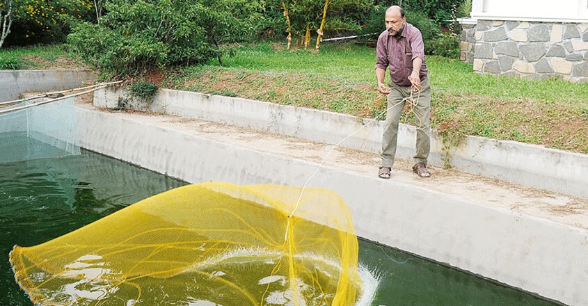 fish-trail4 fish-trail4