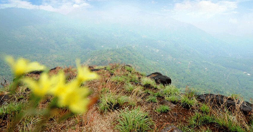 paithalmala-travel paithalmala-travel