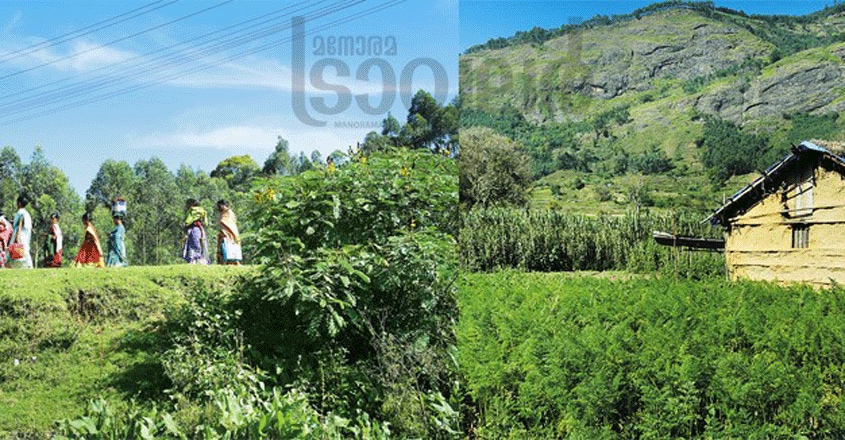 vattavada-travel3 vattavada-travel3