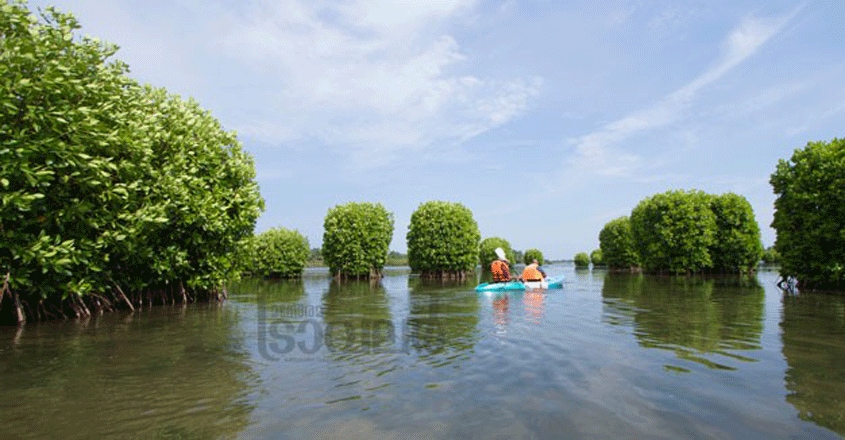 Kavvayi-Island-Kannur1 Kavvayi-Island-Kannur1