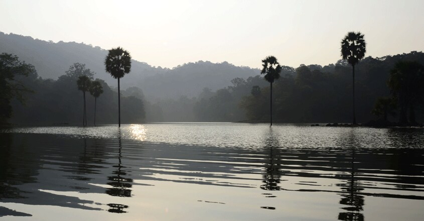 asurankundu-dam-to-thrissur asurankundu-dam-to-thrissur