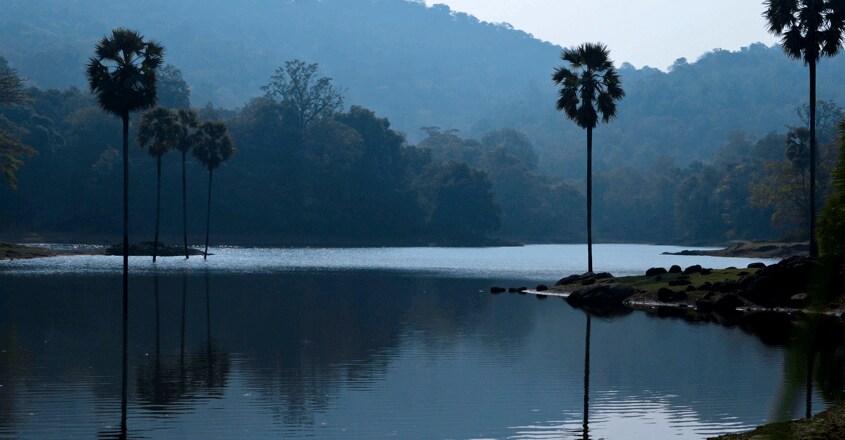 asurankundu-dam-to-thrissur1 asurankundu-dam-to-thrissur1