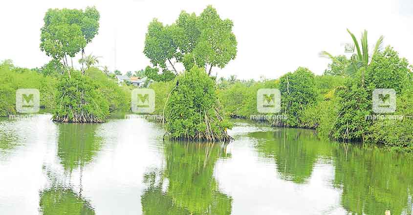 kollam-kandalkadu kollam-kandalkadu