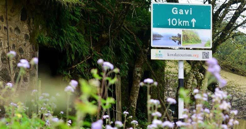 gavi3 gavi3