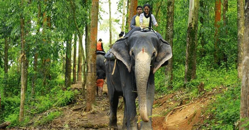 munnar1 munnar1