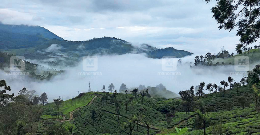 munnar munnar