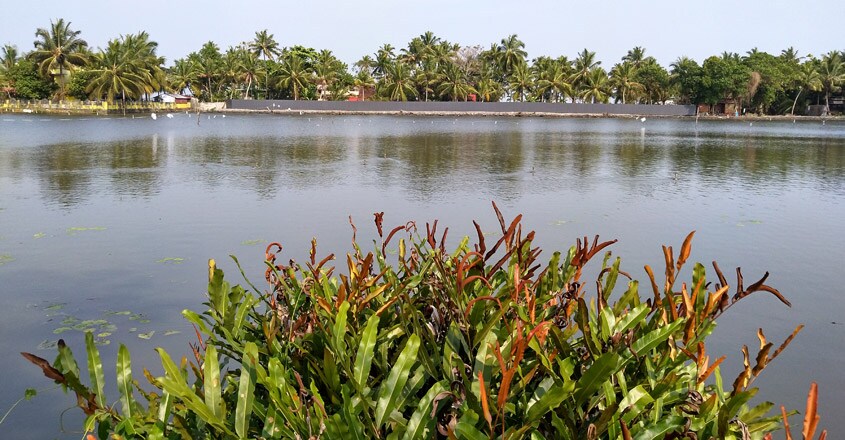chathamma chathamma