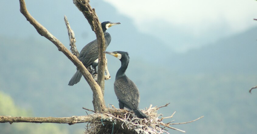Banasura-Sagar-Dam-trip Banasura-Sagar-Dam-trip