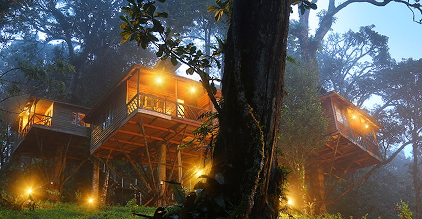 Nature-Zone-Tree-House-Munnar Nature-Zone-Tree-House-Munnar